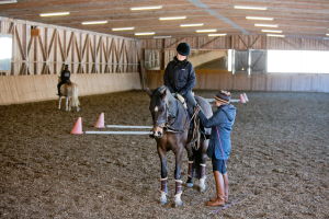 Reitanlage, Wellness-und-Reiten