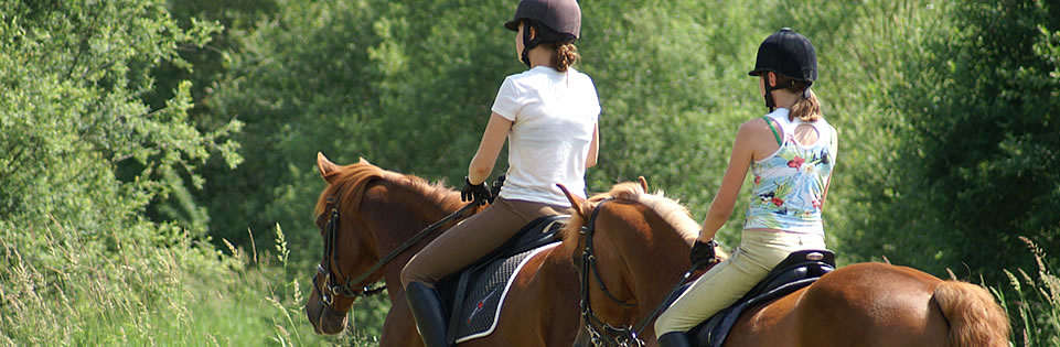 Ein Paradies für Pferd & Reiter - Reiten, Reiturlaub. Reiterferien in Österreich