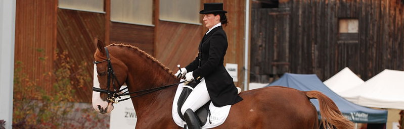 Ein Paradies für Pferd & Reiter - Reiten, Reiturlaub. Reiterferien in Österreich