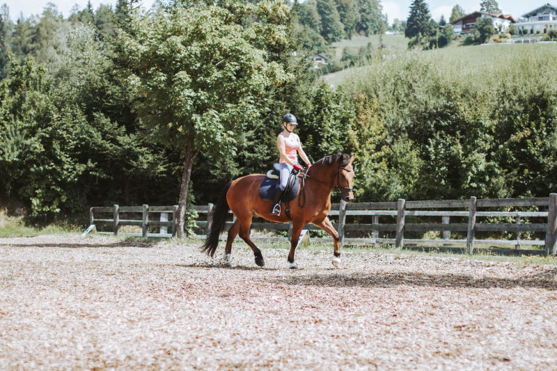 Ein Paradies für Pferd & Reiter - Reiten, Reiturlaub. Reiterferien in Österreich