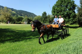 Reithotel, Wellnesshotel, Golfhotel & Genießerhotel Gut Weissenhof ****S in Radstadt, Salzburger Land, Salzburg, in Österreich