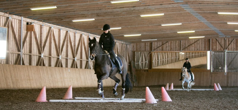 Ein Paradies für Pferd & Reiter - Reiten, Reiturlaub. Reiterferien in Österreich
